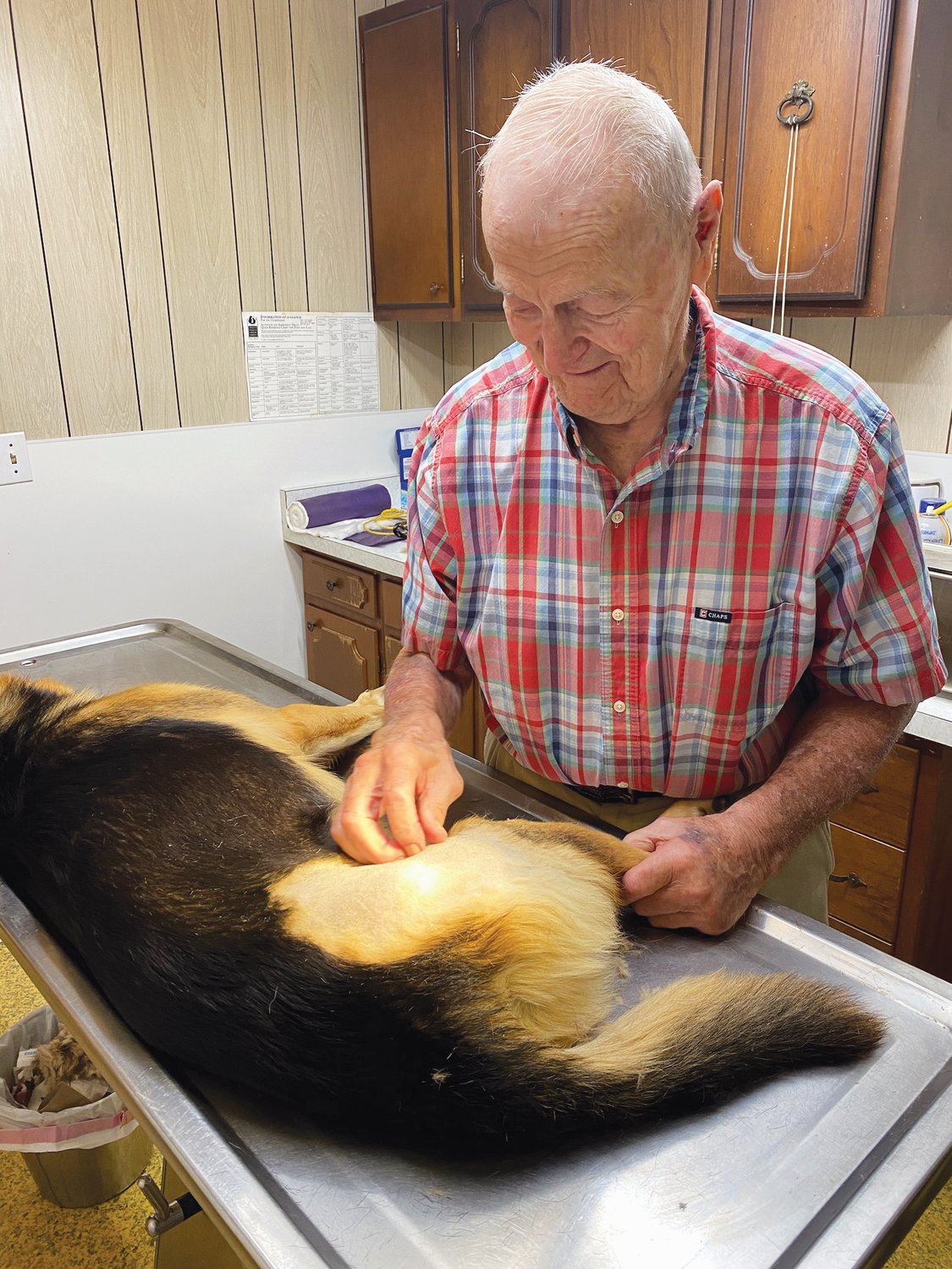Dyke Davis tends to a canine patient in his office. Davis spent nine years in vet school before returning to Paris to establish his clinic.